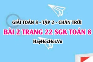 Bài 2 trang 22 Toán 8 Tập 2 Chân trời sáng tạo